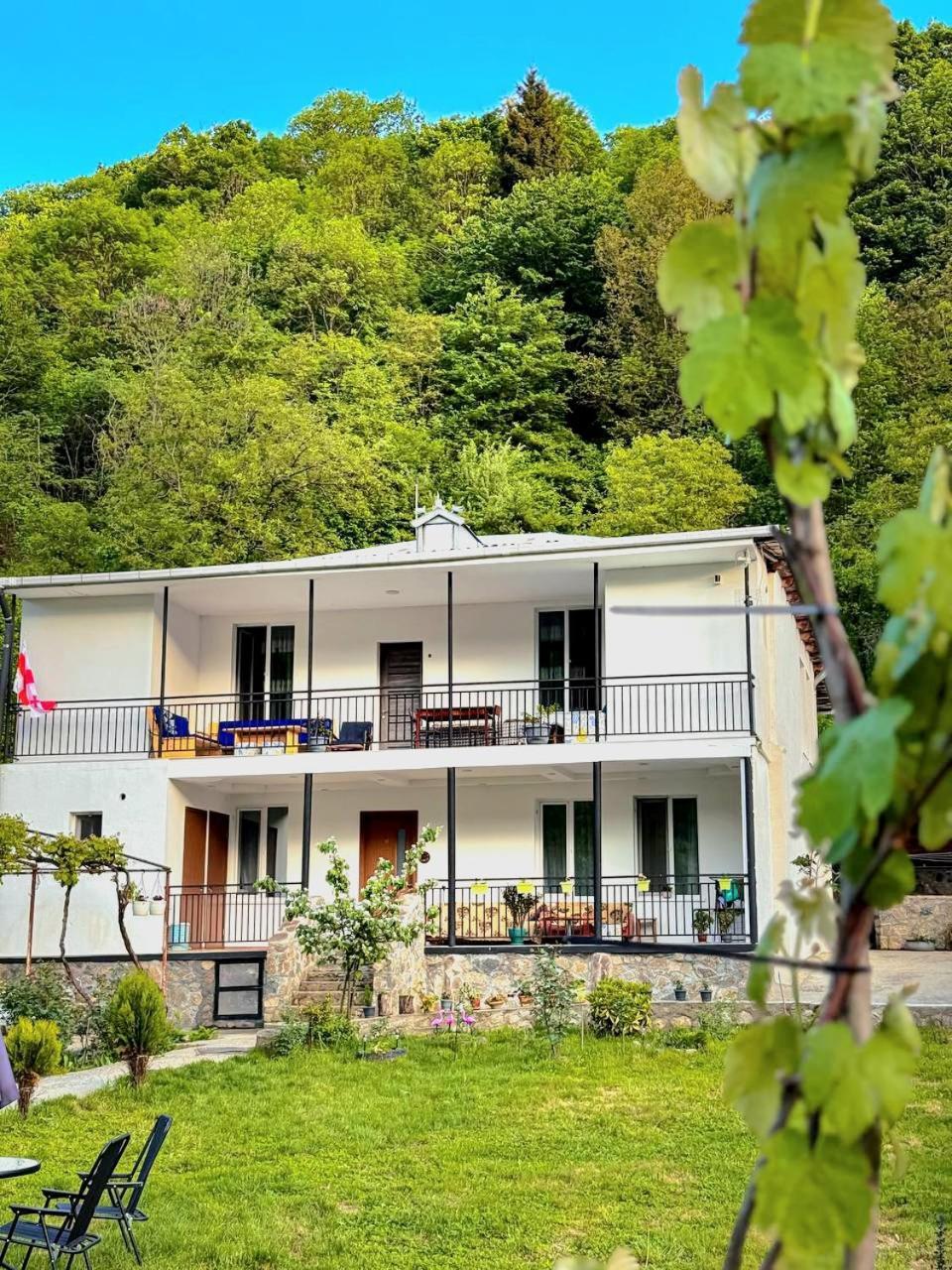 White House In Borjomi Hotel Exterior photo